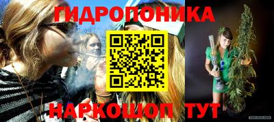 ECSTASY Канаш