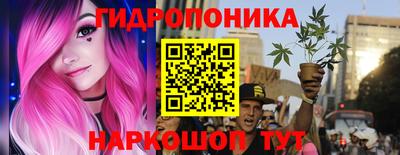 ECSTASY Канаш