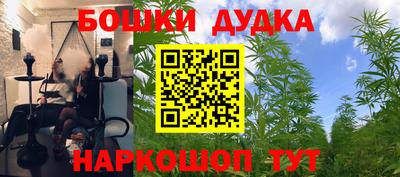 мяу мяу мука Кандалакша