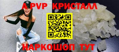 ECSTASY Канаш