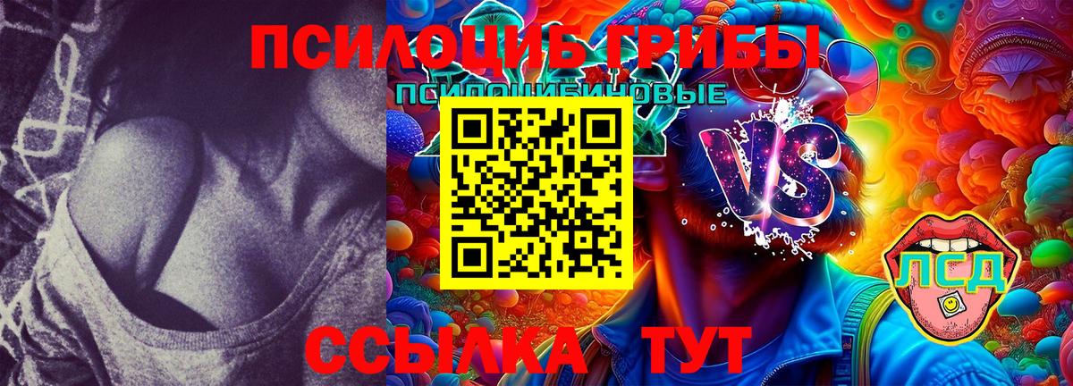 Псилоцибиновые грибы Psilocybine cubensis Кудымкар